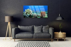 Modern üvegkép Barrier Reef Nature 100x50 cm