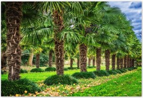 Poszterek 200x135 Tájkép