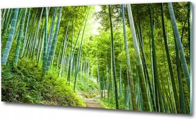 Fotó üvegkép Naivasha tó 125x50