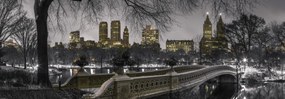 Poszter 95x33cm Központi park Manhattan panorámával, Assaf Frank