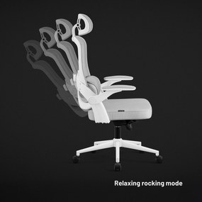 Ergonomikus irodai szék világosszürke Diablo V-Light