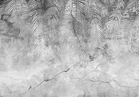 Fotótapéta Pálmalevelek A Betonon Tapéta A Nappali Hálószobájába 416x254