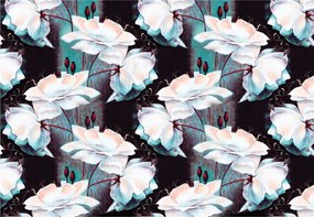 Tapéta Fehér virágok sötét háttér vinil 368x254 finom nyugalom +ragasztó