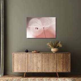 Üveg kép - Egy csepp harmat (70x50 cm)