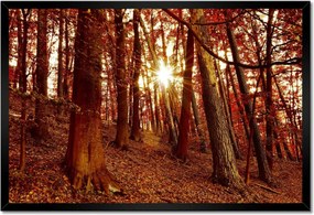 Poszterek keretben 60x40 Tájkép Látvány