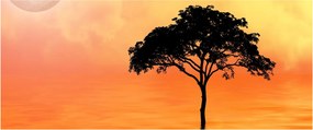 Kép egy fáról naplementekor (120x50 cm)