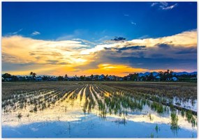 Fotótapéták flizelina 312x219 Kilátás Tájkép