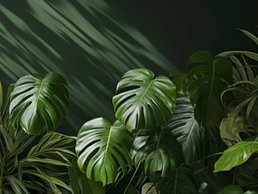 Poszter 80x60cm Suttogó levelek