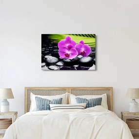 Kép - Orchideák (90x60 cm)