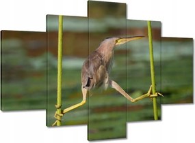 Festmények 150x105 Kalapos madár Tájkép Kilátás