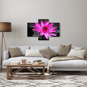 Kép - rózsaszín virág (90x60 cm)