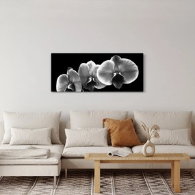 Egy orchidea virág képe (120x50 cm)