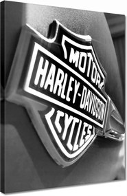 Festmények 30x40 Harley Davidson logó