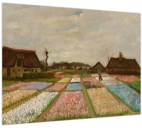 Üveg kép - Vincent van Gogh, Flower Beds in Holland, reprodukciók (70x50 cm)