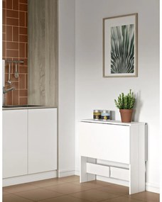 Bővíthető étkezőasztal fehér asztallappal 76x28 cm Papillon – TemaHome