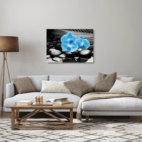 Üveg kép - Kék orchidea (70x50 cm)
