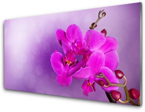 Modern üvegkép Orchid szirmok Virág 120x60cm