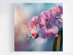 Vászonkép Canvas Virág Orchidea Természet Zen Természet 80x80