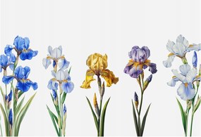 Flizelin tapéta Divatos 3D fali ragasztó Írisz virágok 152x104 ragasztó