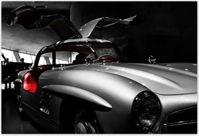 Poszterek 200x135 Mercedes Szárnyas