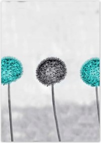 Poszterek 70x100 Türkiz pitypangok