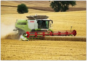 Poszterek 100x70 Kombájn Aratás