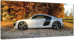 Képek 115x55 Őszi Audi Autó