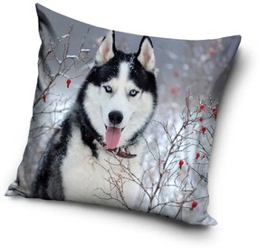 Kutyás Husky párnahuzat 40x40 cm