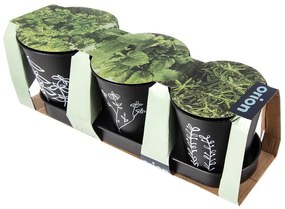 Fém virágcserép készlet fűszernövényekhez 3 db-os ø 11 cm Black – Orion