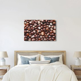 Kép - Érett gesztenye (90x60 cm)
