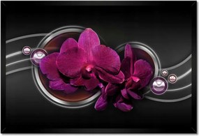 Poszterek keretben 60x40 Orchidea Virág Virágok