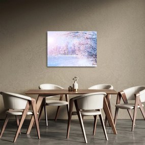 Kép - Fagyos tél (üvegen) (70x50 cm)
