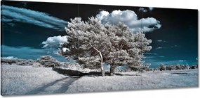 Vászonkép 150x70 Fenséges fa