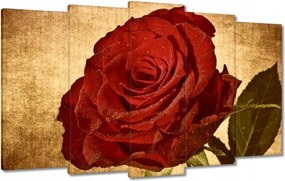 Vászonkép 100x60 Rózsa a háttérben szépia