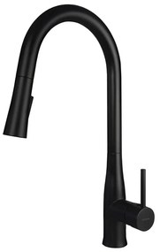 Deante BDH_N72M - Mosogatócsap kihúzható permetezővel LUKRECJA fekete