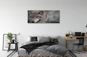 Canvas képek Farkas 125x50 cm