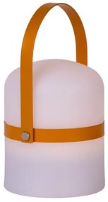 Lucide 06802/01/43 - LED Kültéri dimmelhető lámpa LITTLE JOE LED/0,3W/3,7V IP44