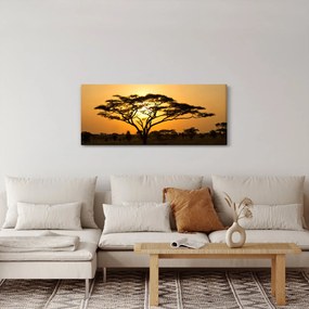 Kép - afrikai szavanna (120x50 cm)