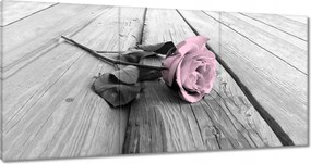 Vászonkép 180x90 Púderrózsaszín Old pink Rose