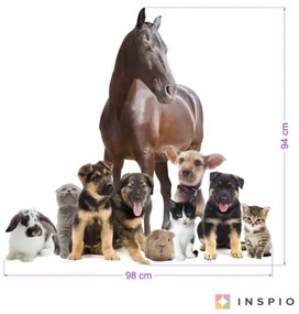 INSPIO Falmatrica - Állatok