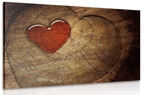 Kép szív a fa törzsön