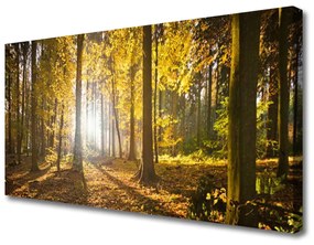 Canvas kép Forest elhagyja Plant 120x60 cm