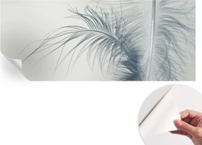 Modern öntapadós fotótapéta falra Finom toll 250x104 cm