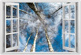 Poszterek 90x60 Nyírfa