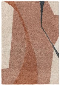 Shaggy szőnyeg Louise Multicolour 140x200 cm