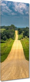 Vászonkép 40x100 Út Rét Mező Erdő