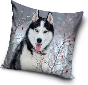 Kutyás Husky párnahuzat 40x40 cm