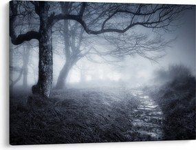 Kép - Út a ködben (70x50 cm)