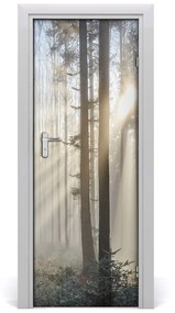 Ajtóposzter Köd az erdőben 75x205 cm