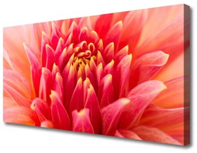 Vászonkép Természet virág növény 125x50 cm